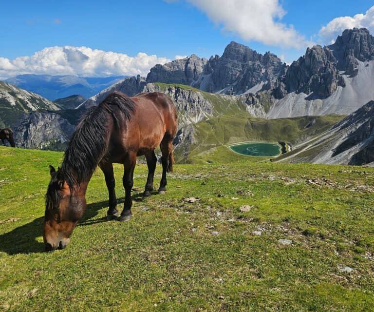 The Hochtennbodensteig trail: A high-altitude hike in Axamer Lizum, near Innsbruck