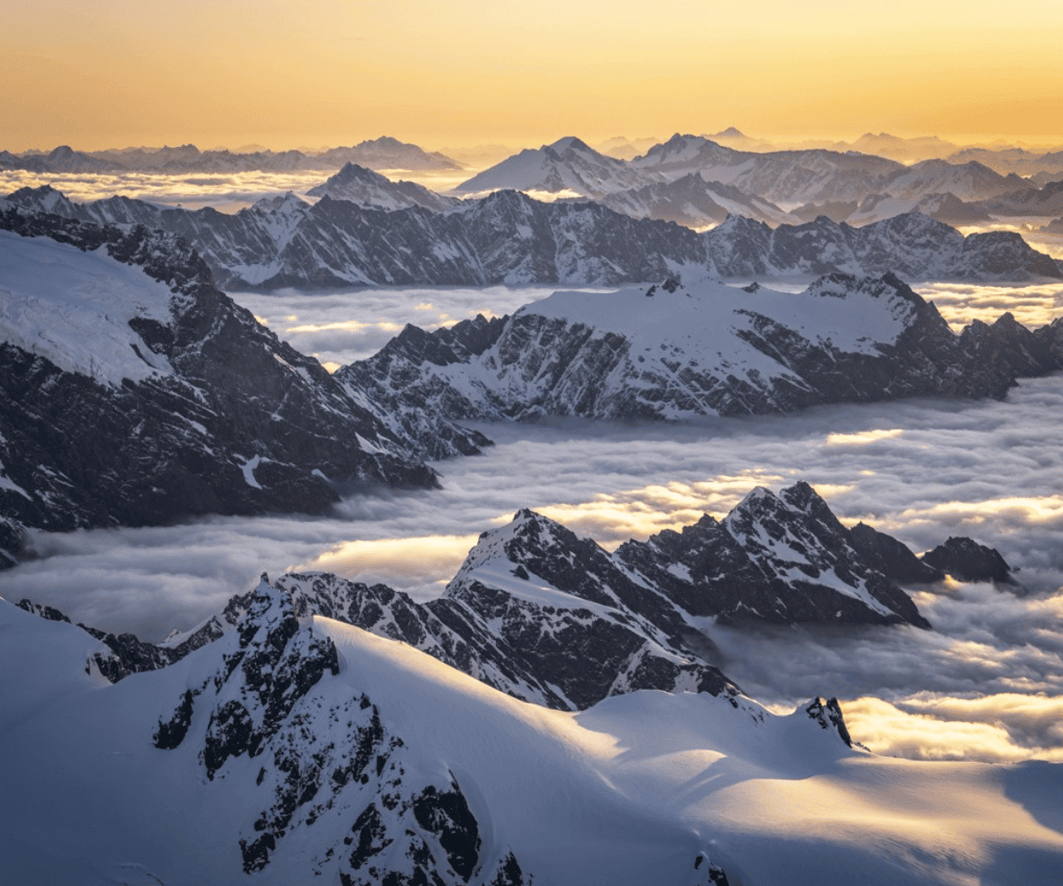 The people who change the way you see New Zealand