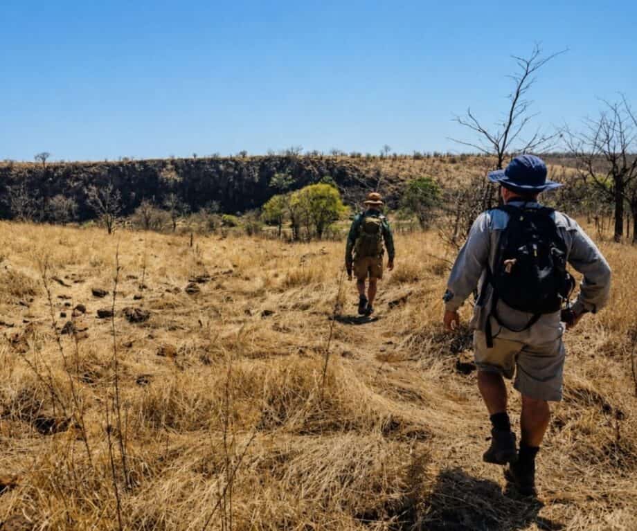 Northern Hwange Walking Safari Trail Package