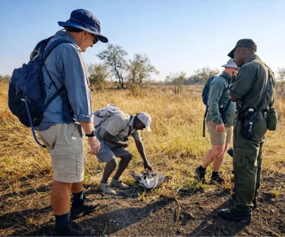 Reading the bush on a Zimbabwe Walking Safari