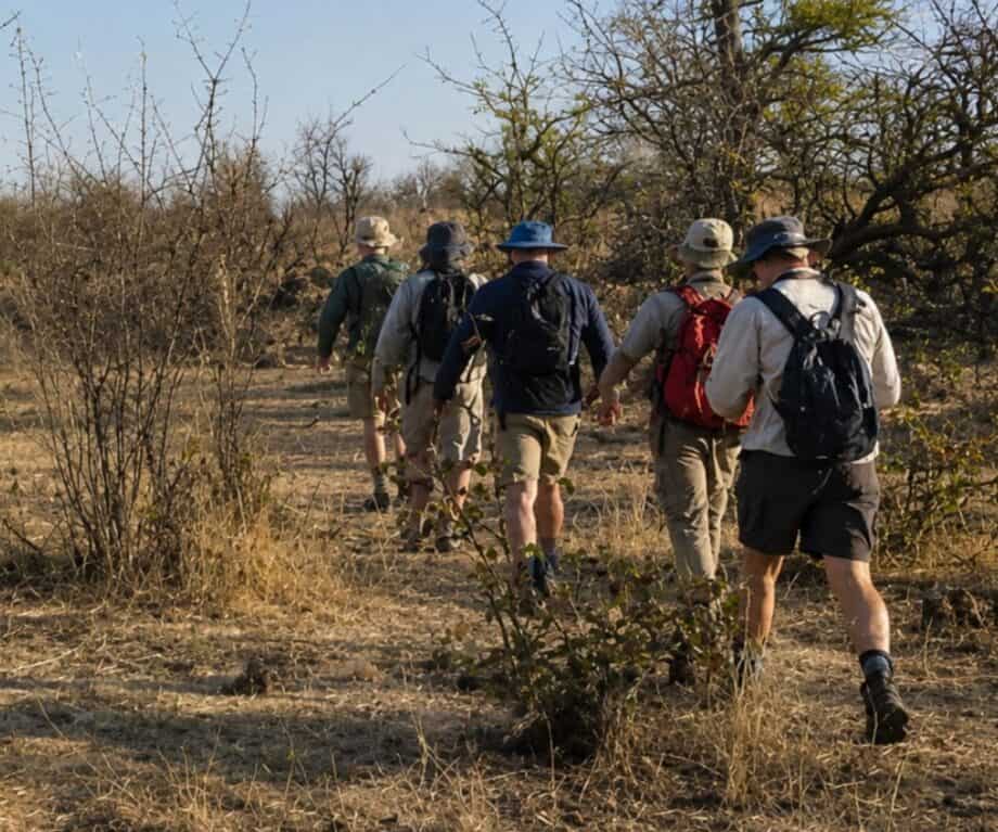 Understanding Zimbabwe's Walking Safari Trails