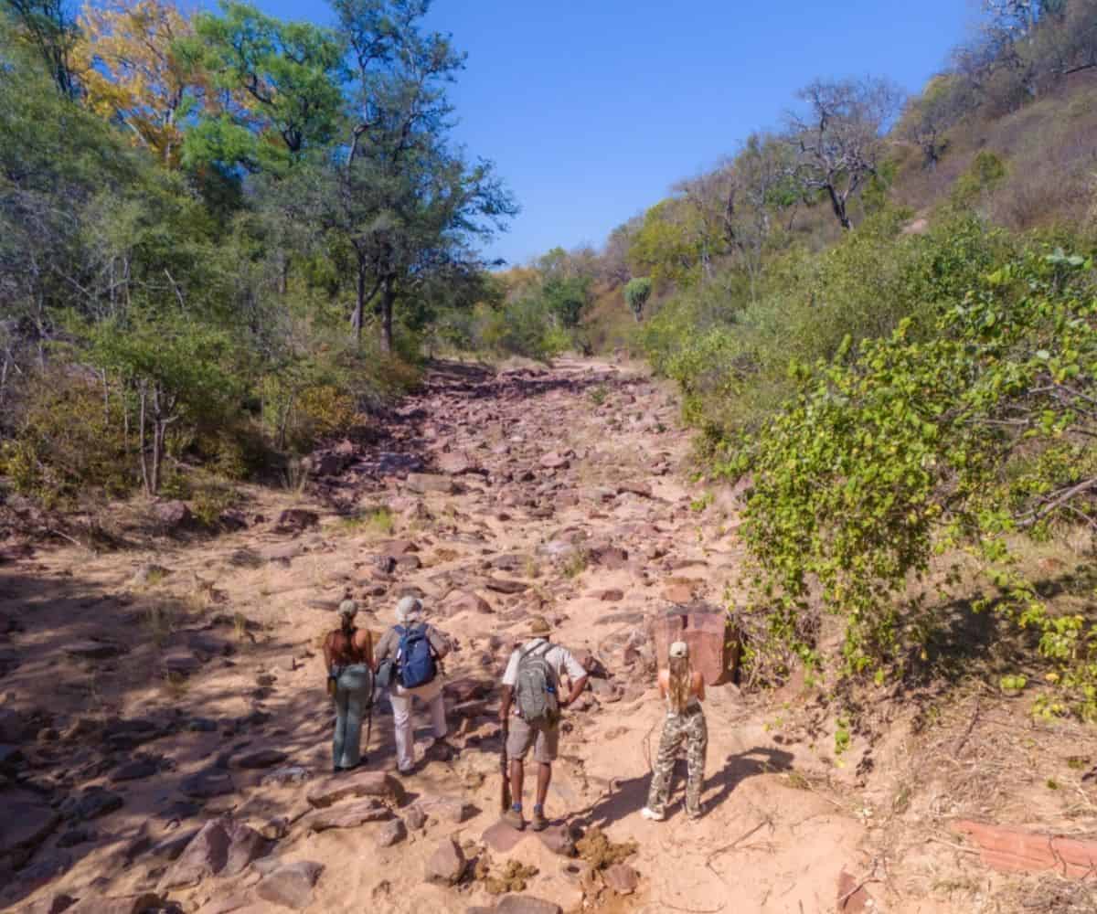 Zimbabwe’s walking safari trails explained