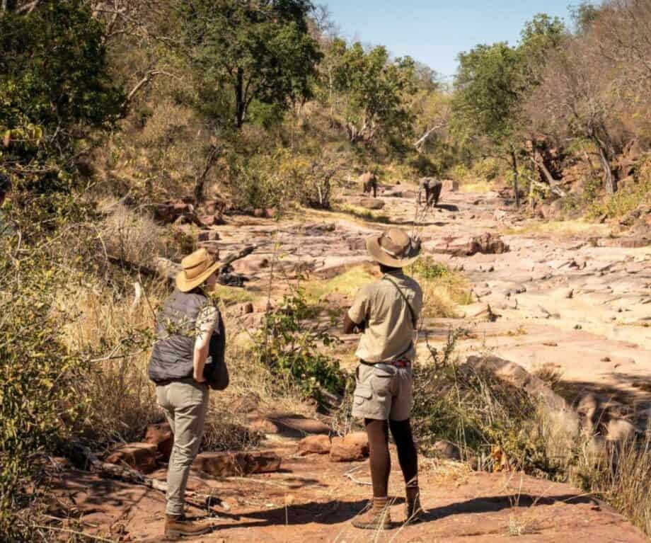 Walking Safari Through Rocky Gorge