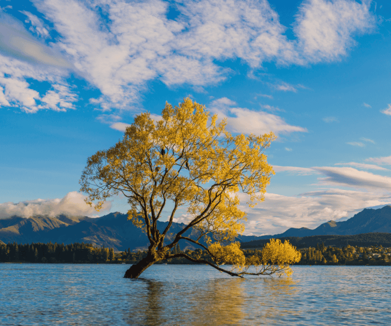 New Zealand in autumn: A quieter season, a richer journey
