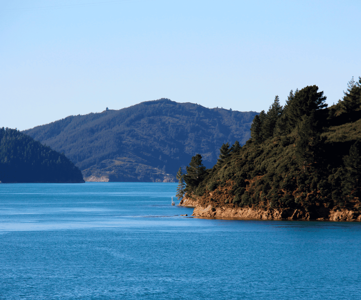 New Zealand in Autumn Rewards Travellers Who Slow Down
