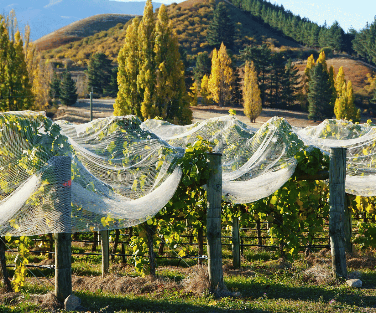 New Zealand in Autumn Rewards Travellers Who Slow Down