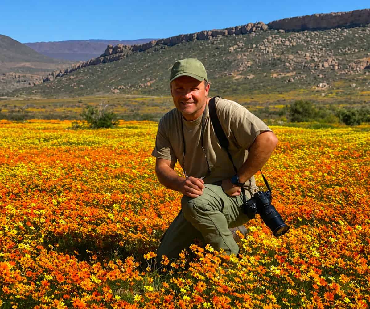 Why a Private Safari Guide Can Transform a Safari