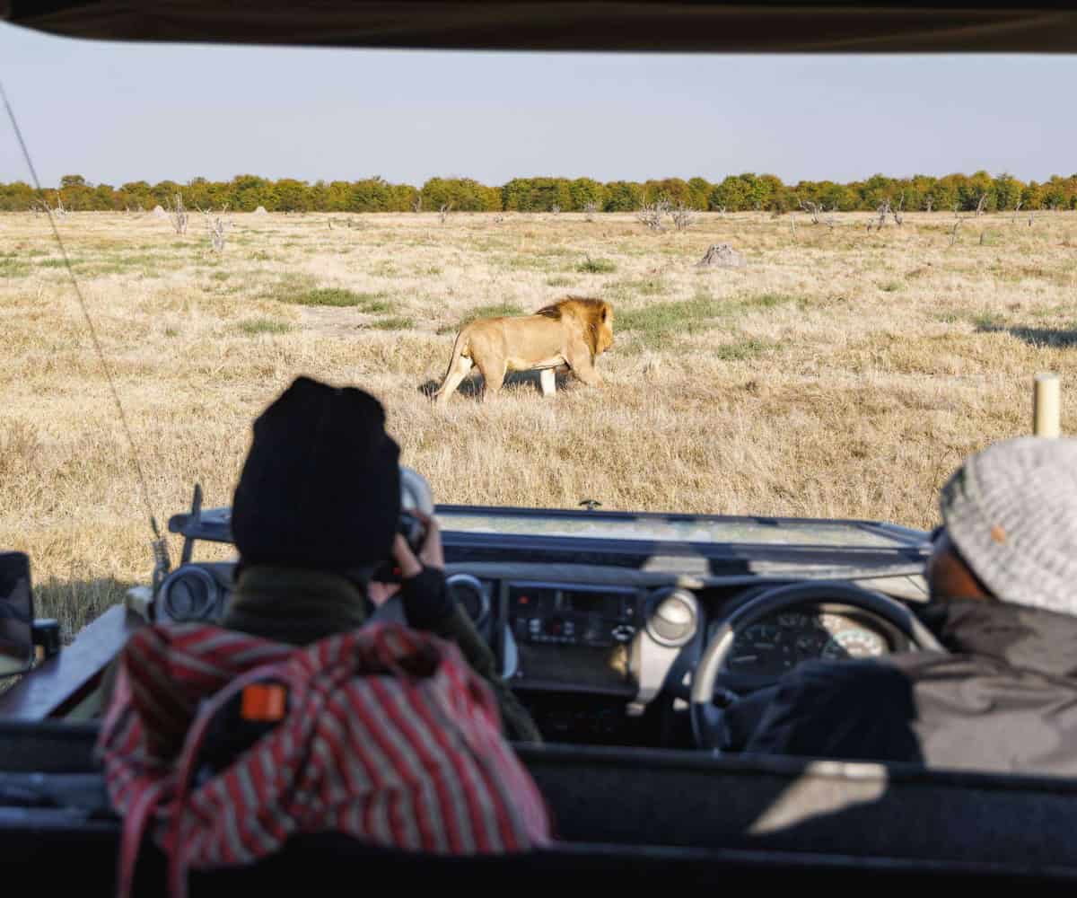 4 reasons to travel with a private safari guide