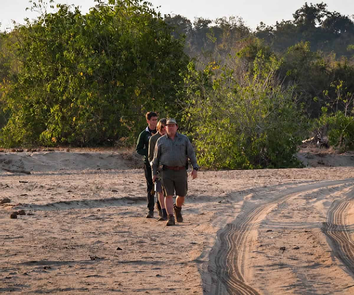 Why a Private Safari Guide Can Transform a Safari