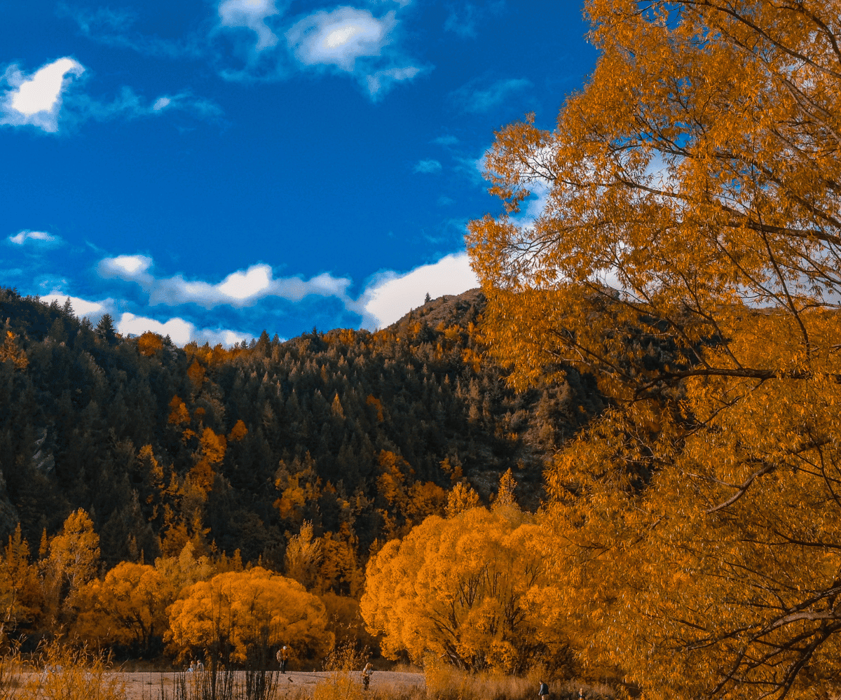 New Zealand in Autumn Rewards Travellers Who Slow Down