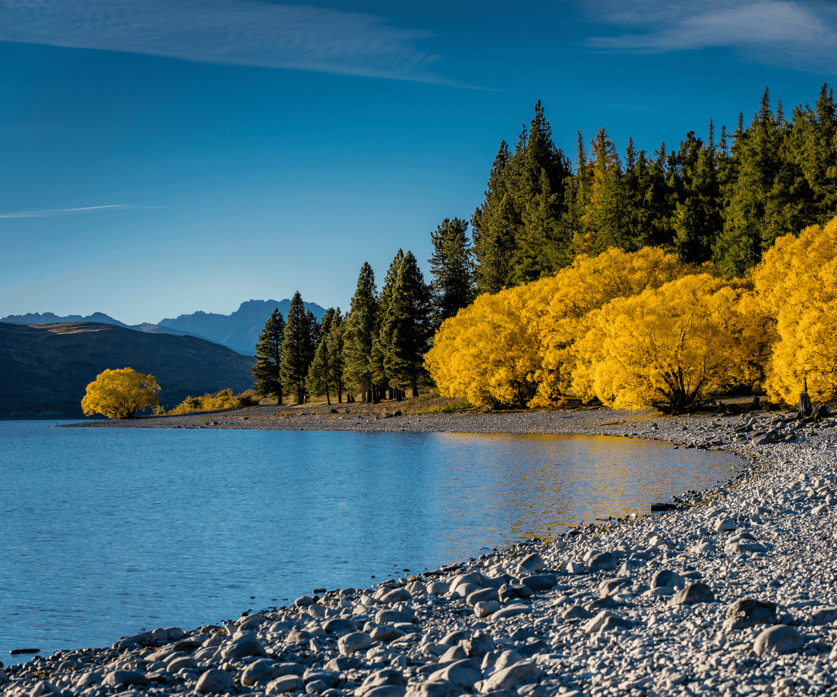 New Zealand in Autumn Rewards Travellers Who Slow Down