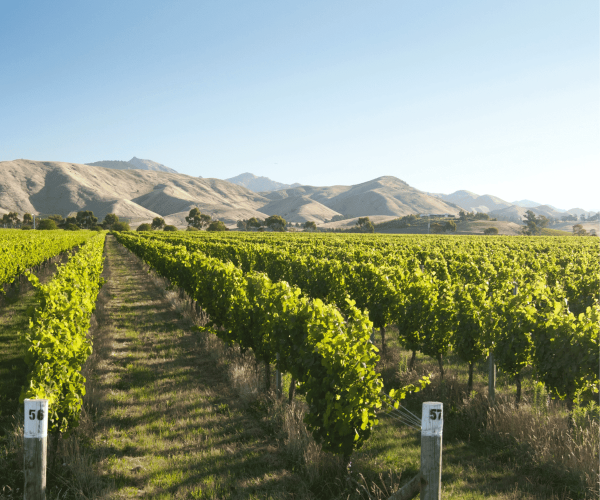 New Zealand in Autumn Rewards Travellers Who Slow Down